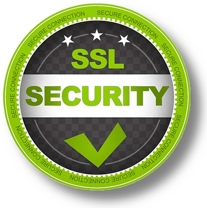 ssl icon